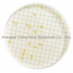 Millipore MHA000P2T 胰蛋白胨葡萄糖培养基 (TGE)