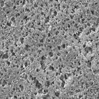 Millipore GNWP04700 GNWP02500 尼龙表面滤膜