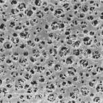 赛多利斯 Sartorius 醋酸纤维素膜滤器(CA),0.8μm 11104-13-N 11104-25-N 11104-47-N 11104-50-N 11104-90-N