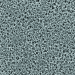 Whatman 沃特曼 再生纤维素膜, 10410312, 10410206, 10410212, 10410012