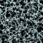 Whatman 沃特曼 硝酸纤维素膜, 7182-004, 7184-004, 7195-004, 10400112