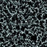 Whatman 沃特曼 醋酸纤维素膜, 10404112, 10404012, 10403112, 10403012