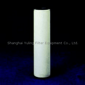 Pall 颇尔 PSS系列过滤器, MBS1001P05H13