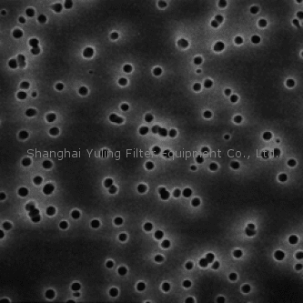 Millipore TETP01300 Isopore 表面滤膜