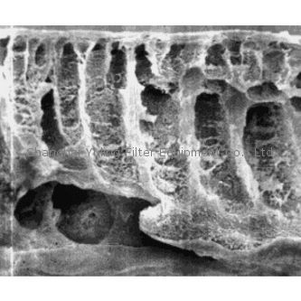 赛多利斯,Sartorius,聚醚砜膜(PES),14429-25-D,14429-44-D,14429-47-D,14429-63-D,14429-76-D