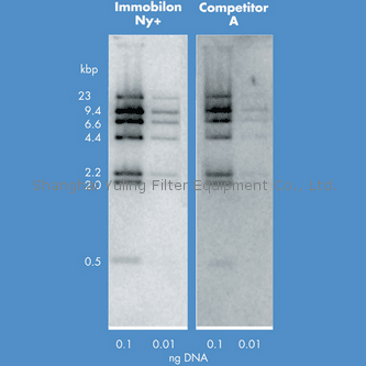 Millipore INYC00010, western 转印迹膜, Immobilon-Ny+ 带正电尼龙卷膜