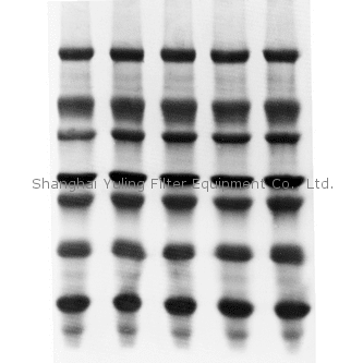 Millipore ISEQ00010, western 转印迹膜, Immobilon-PSQ 卷膜, PVDF, 0.2 µm