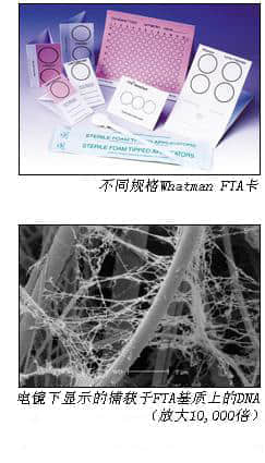 上海羽令过滤器材有限公司