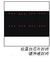 上海羽令过滤器材有限公司