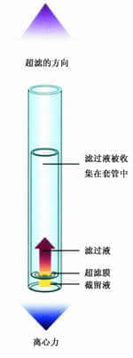 上海羽令过滤器材有限公司